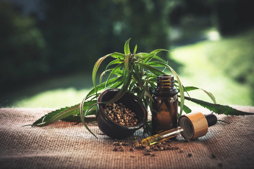 CBD Vs Thc – What’S The Difference